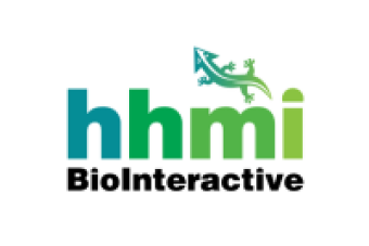 hhmi BioInteractive