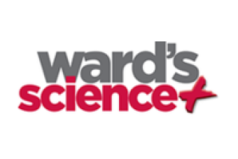 Ward's Science